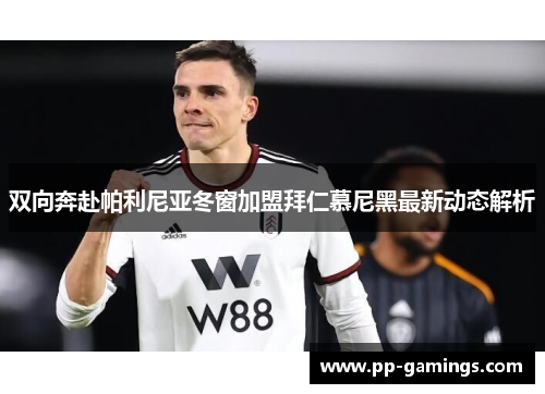 双向奔赴帕利尼亚冬窗加盟拜仁慕尼黑最新动态解析