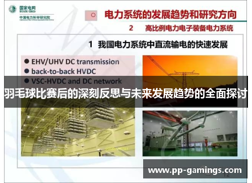 羽毛球比赛后的深刻反思与未来发展趋势的全面探讨